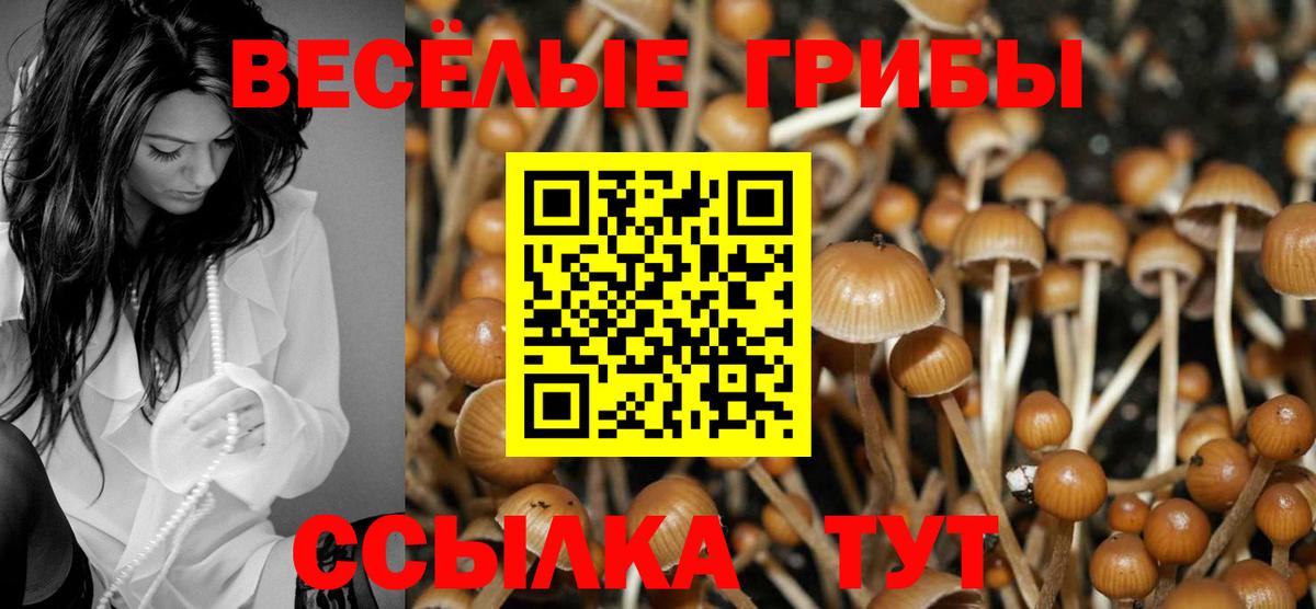 Ижевск  Галлюциногенные грибы Psilocybine cubensis  Вход с VPN 